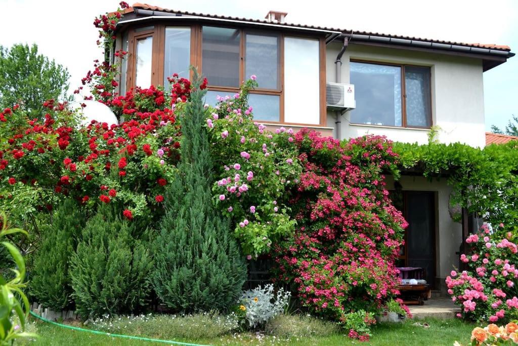 Sea & Garden Villa Βάρνα Εξωτερικό φωτογραφία