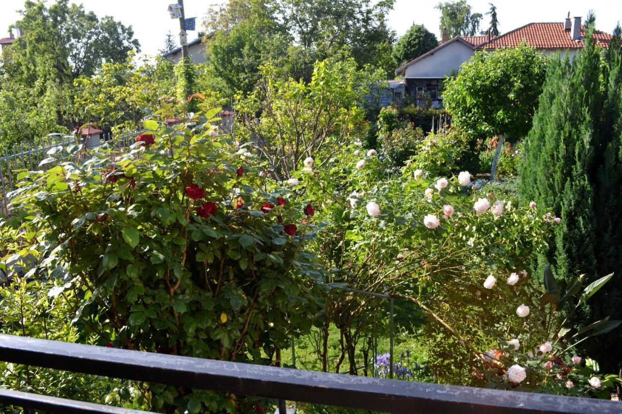 Sea & Garden Villa Βάρνα Εξωτερικό φωτογραφία