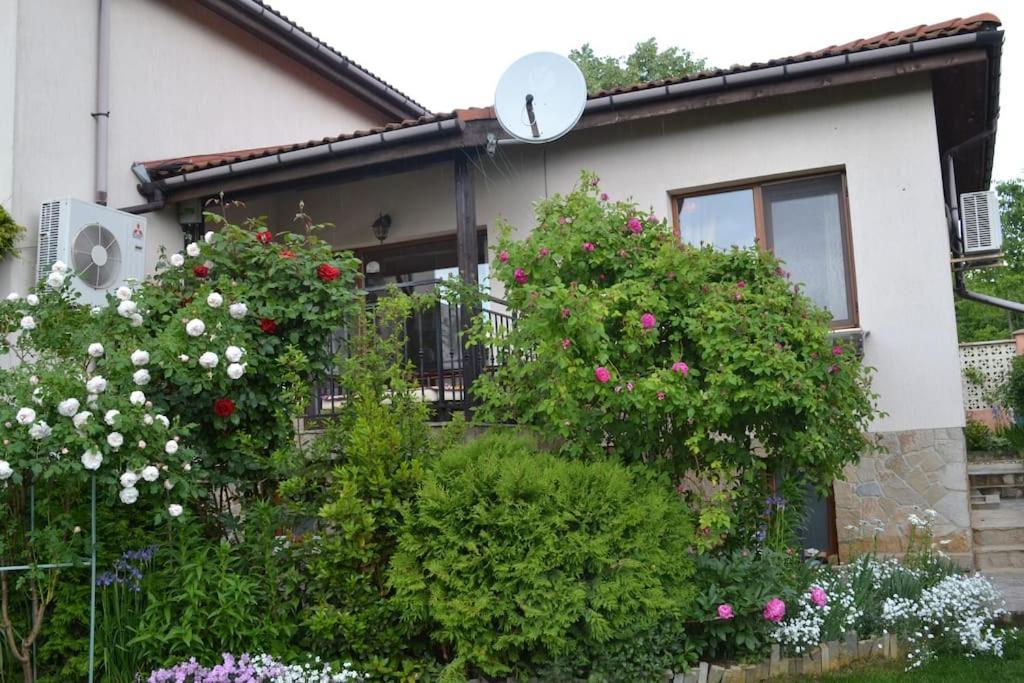 Sea & Garden Villa Βάρνα Εξωτερικό φωτογραφία
