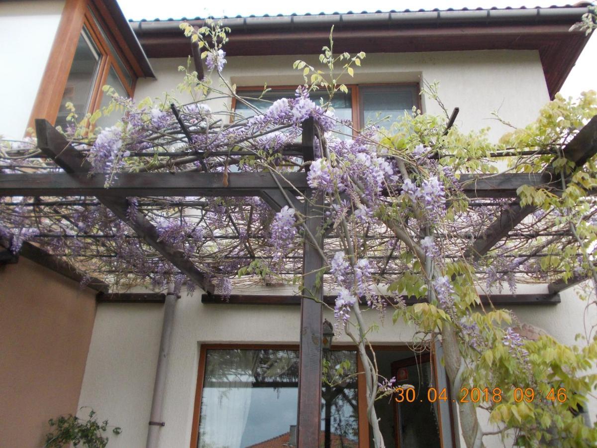 Sea & Garden Villa Βάρνα Εξωτερικό φωτογραφία